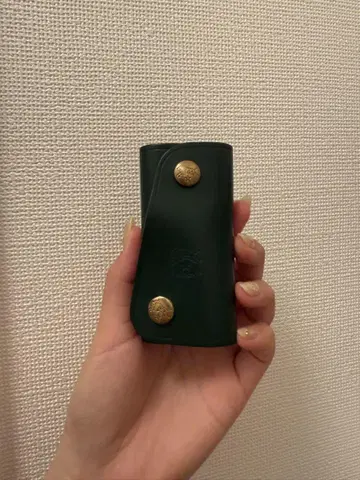 IL BISONTE 다크 그린 가죽 키케이스