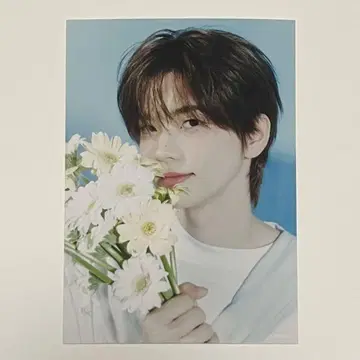 재현 ViVi 엽서