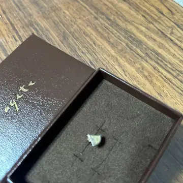 새상품급 아가각인 쉘 귀걸이