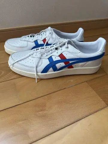 오니츠카타이거 GSM SD