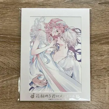 꽃 숨기는 너의 메테오르 페이보릿 포트레이트 E 타마모리 베티 팝업