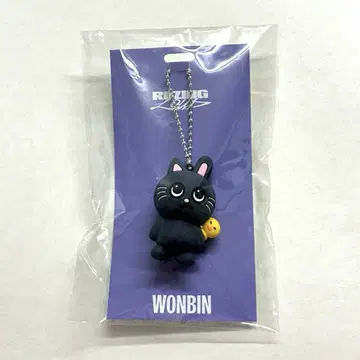 RIIZE 일본 공연 굿즈 러버 키링 원빈
