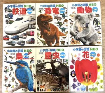 초등학교 도감 NEO DVD 포함 6권 세트