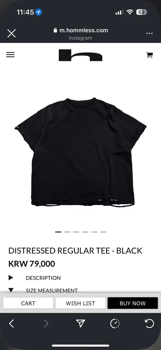 Hommless Distressed Black T-shirt