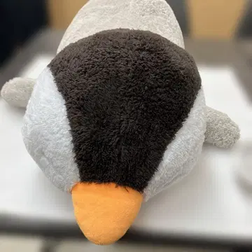 [32] 쌔근쌔근 잠자는 아기 펭귄