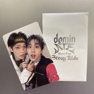 straykids dominATE 혜택 트레이딩 카드 한 필릭스
