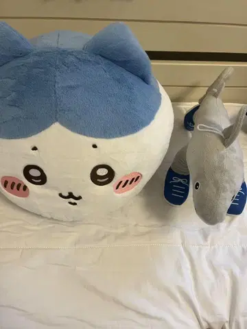 고양이와 상어 봉제 인형 세트