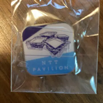 NTT PAVILION 핀 배지