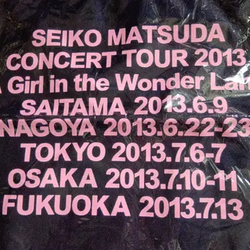 SEIKO MATSUDA 콘서트 투어 백 2013