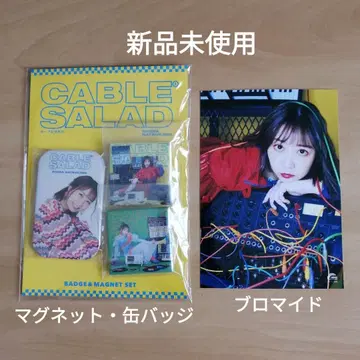 새상품 나츠카와 시이나 케이블 샐러드 마그넷 캔뱃지 브로마이드 세트