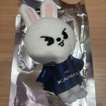 straykids KARMA skzoover. 봉제인형 Leebit