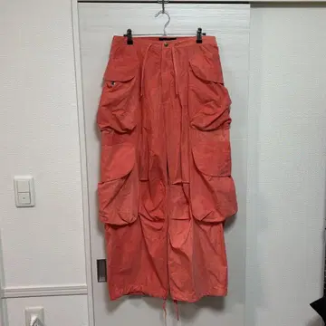 entire studios cargo pants