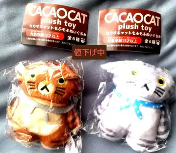 C플라 한정판 CACAOCAT 폭신폭신 봉제 인형 2종 세트