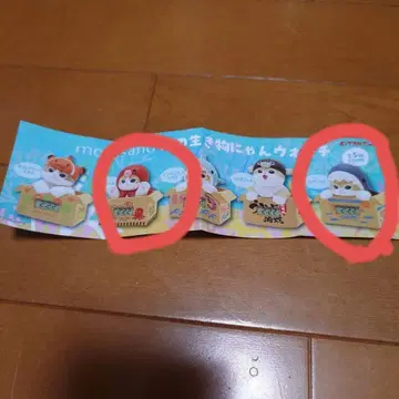 미사용 새상품 바다 생물냥 워치 mofusand 문어 상어 2종 세트