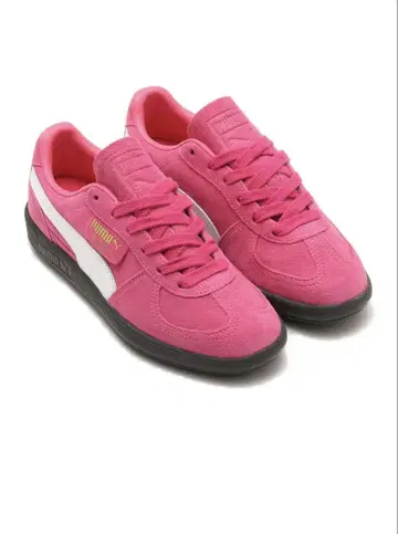 [ 25cm ] PUMA PALERMO 푸마 파렐모 핑크
