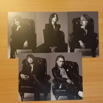 LUNASEA DUAL ARENA TOUR SLAVE 한정판 엽서