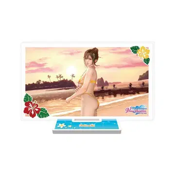DOAXVV 7.5주년 기념 복권 E상 F상 미사키 세트 특전 포함