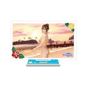 DOAXVV 7.5주년 기념 복권 E상 F상 미사키 세트 특전 포함