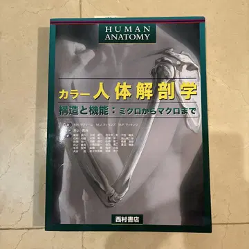 컬러 인체 해부학