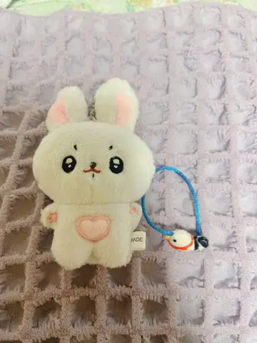 국 인형 토끼 마스터님