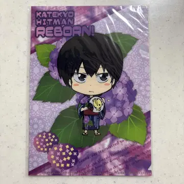 초레어!!! 가정교사 히트맨 REBORN! 히바리 쿄야 파일