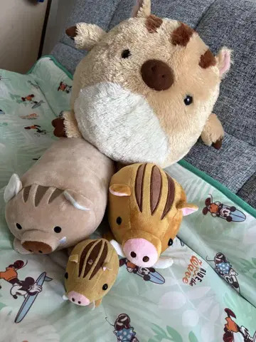 멧돼지 봉제 인형 세트