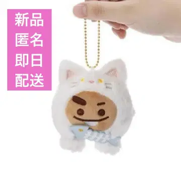 BT21 CATDAY shooky 봉제 인형 고양이
