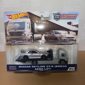 핫휠 팀 트랜스포트 스카이라인 GT-R R34 BNR34