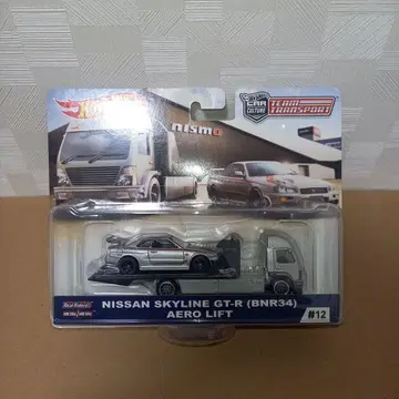 3 핫휠 팀 트랜스포트 GT-R (R34) 에어로 리프트