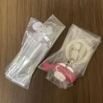 포켓몬 메지루시 액세서리 2 와카 쥐 샤리타츠