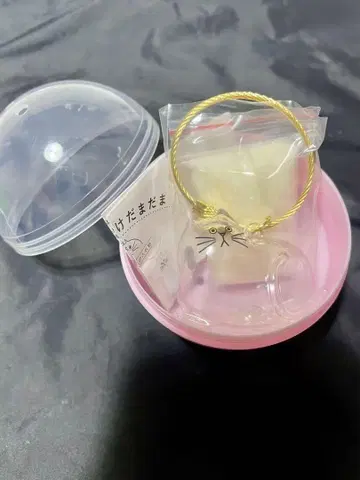 우리 아이 털뭉치 노멀 반려동물 털 보관함 가챠