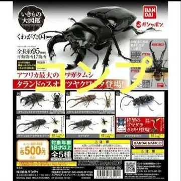 생물대도감 04 컴프 전 5종