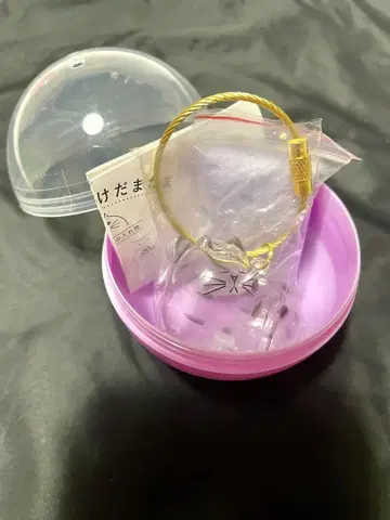 #C-pla 한정판 우리 집 아이 털뭉치 가챠 고양이 치즈 태비