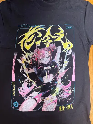 하나비에. 일본 미발매 WORLD 투어 T