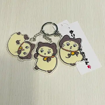 미타라시 고양이로 전생한 아저씨 WEGO