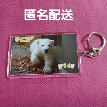 즈라시아 북극곰 아기 [라이] 아크릴 키링