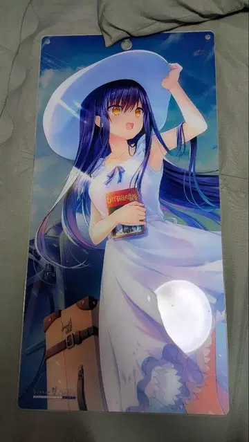 히사지마 카모메 아크릴 보드