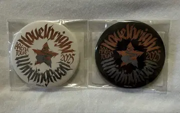 Novelbright Winding Road 2025 캔뱃지 2개