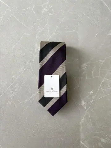 UNITED ARROWS 레지멘탈 컬러 넥타이