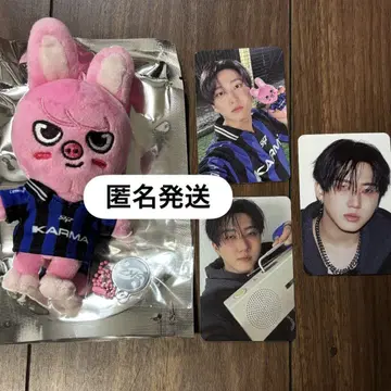 돼끼 skzoo ver. 봉제 인형 트레이딩 카드 3장 창빈