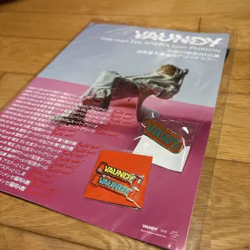 vaundy 굿즈 vaws 핀즈 캡슐 토이 전단지