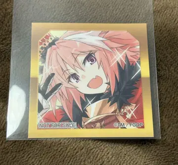 FGO 최종 재림전 아스 라이더