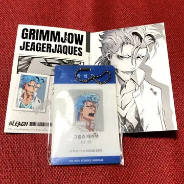 BLEACH 256 한국 학생증 아크릴 키링 그림죠