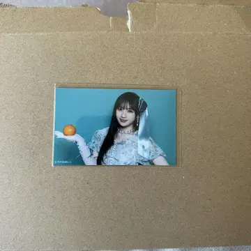 미니 브로마이드 브로마이드 노기자카46 네이블 오렌지 카와사키 벚꽃