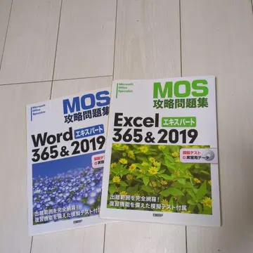 MOS 공략 문제집 Word & Excel 365 & 2019