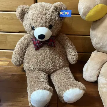 토이저러스 티디베아