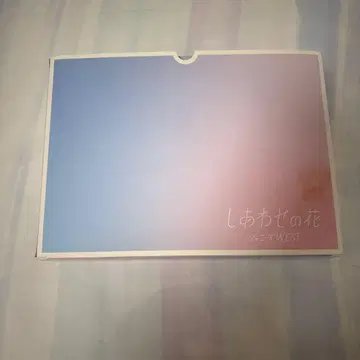 쟈니즈 WEST 행복의 꽃 쿠션