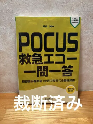 POCUS 응급 에코 일문일답 [절단됨]