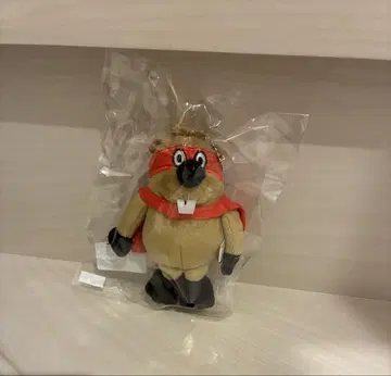 SUPER BEAVER 마스크드 비버