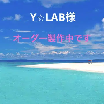 Y LAB 님의 오더 제작 중입니다 비즈 자수 브로치 나비 핸드메이드